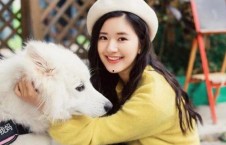 爱豆吃瓜娱乐酱赵露思,爱豆吃瓜娱乐酱，揭秘娱乐圈幕后故事