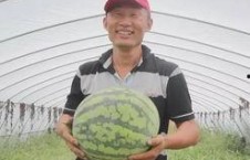 寺寺娱乐吃瓜,揭秘娱乐圈吃瓜背后的真相